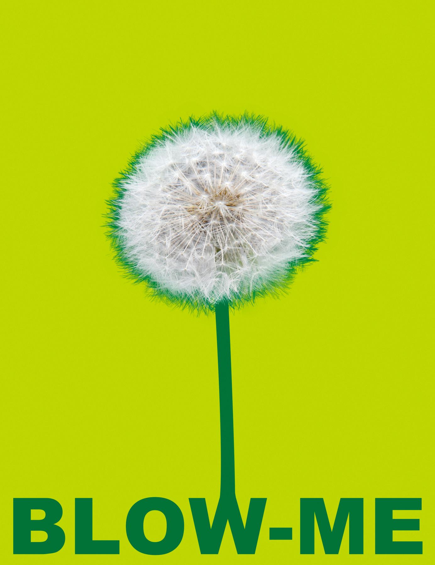 Image from BLOW ME -   