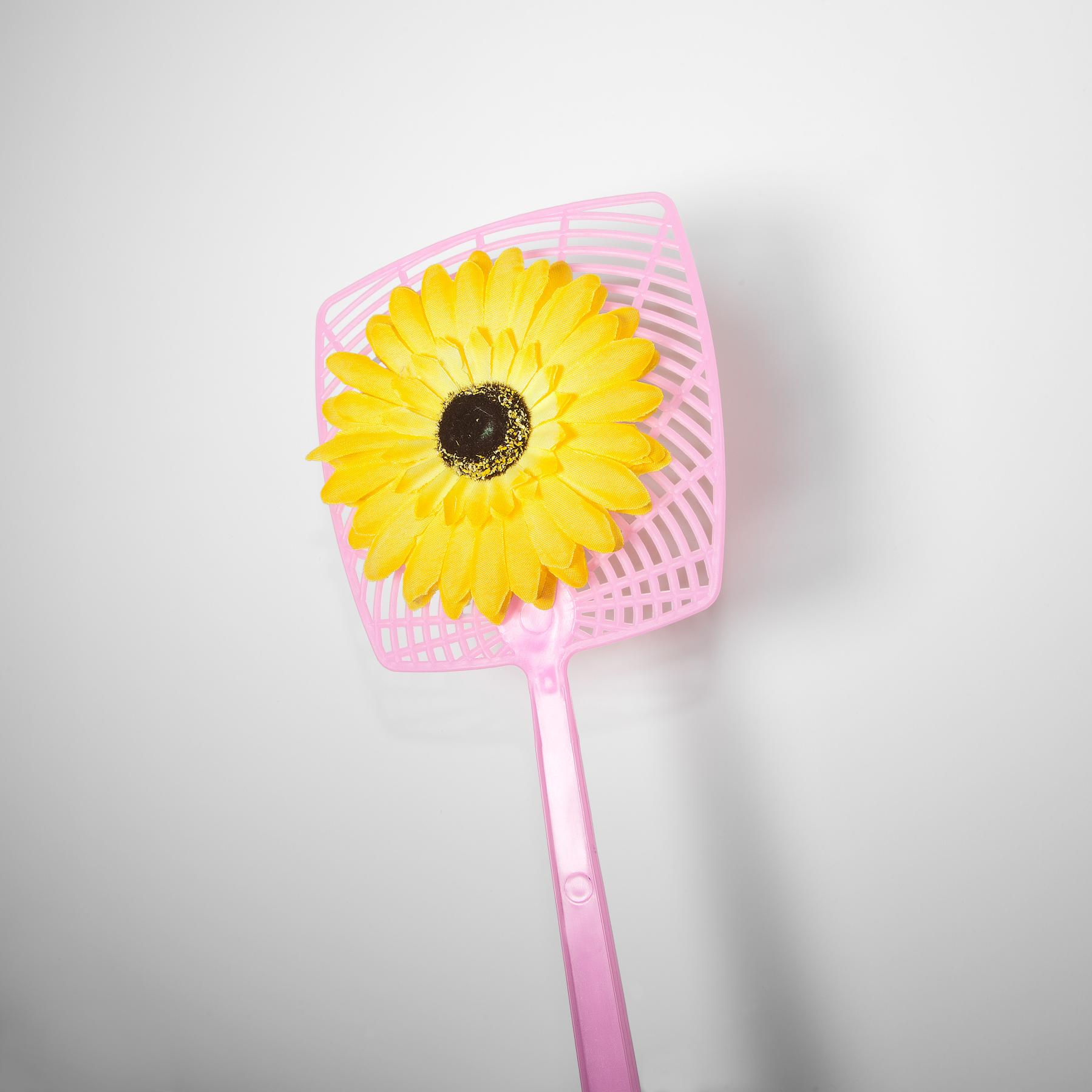 Image from DOLLAR STORE -   
