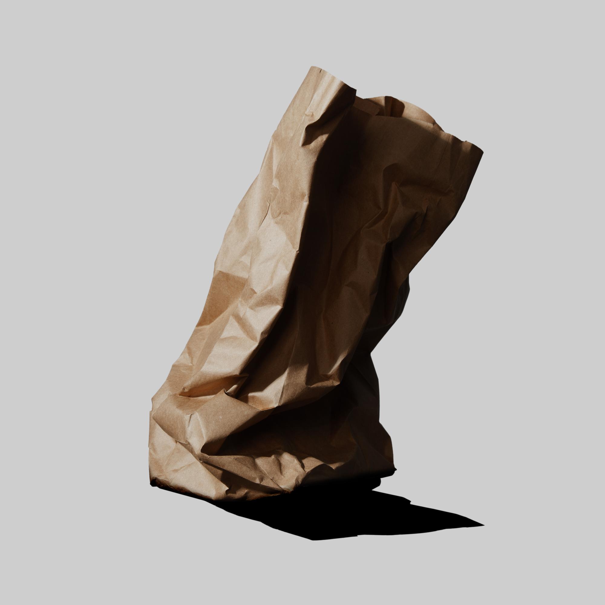 LITTLE BROWN BAG