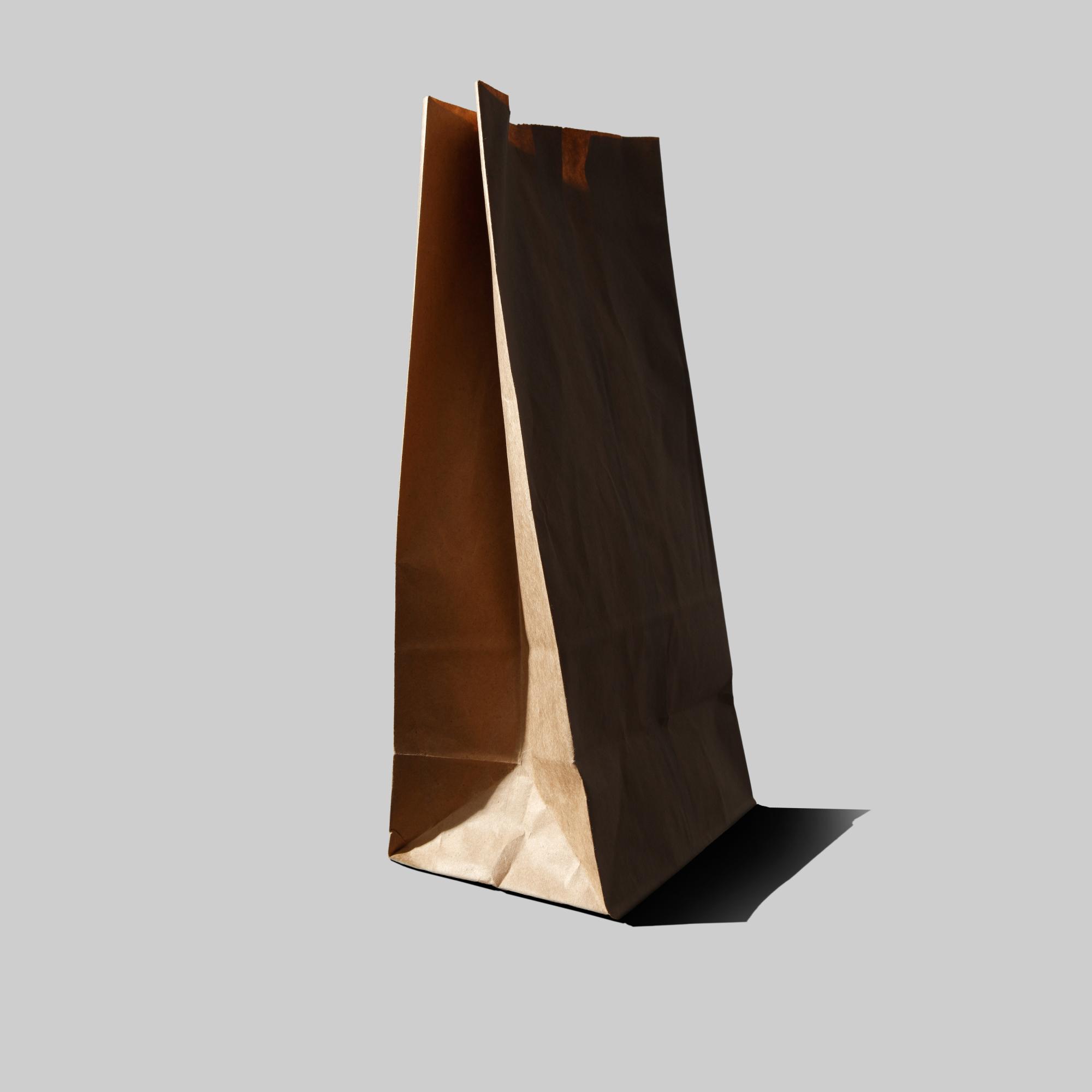 LITTLE BROWN BAG