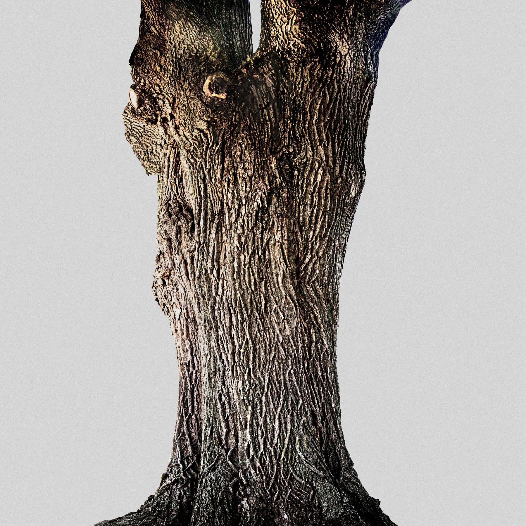 Image from STRENGHT & SURVIVAL -   
