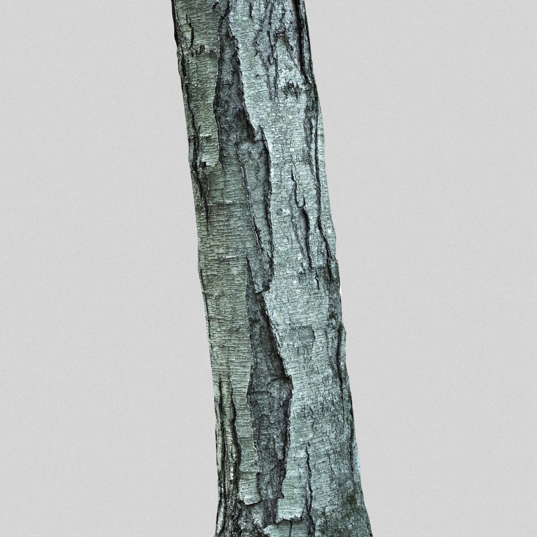 Image from STRENGHT & SURVIVAL -   