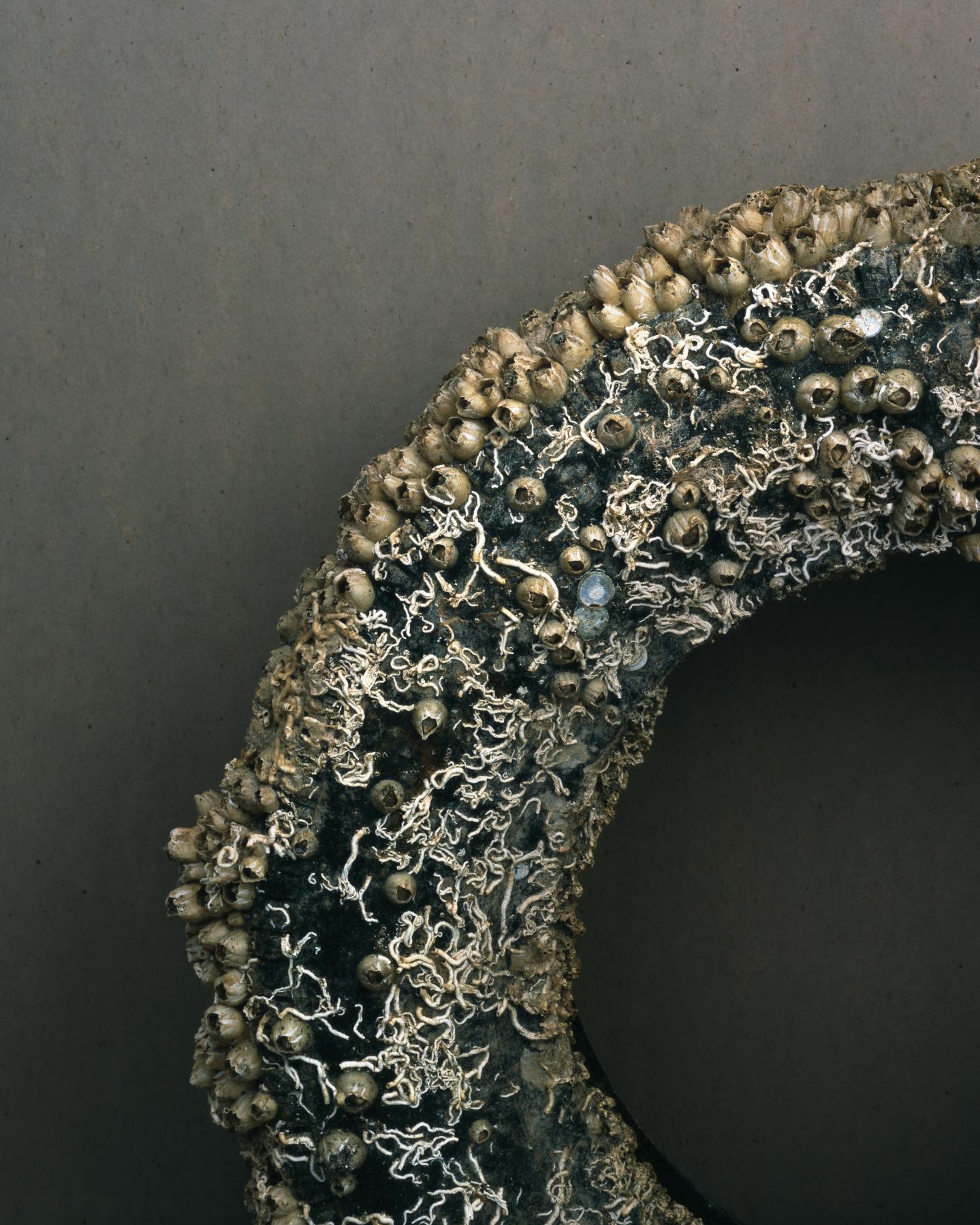 Image from TIRES -   