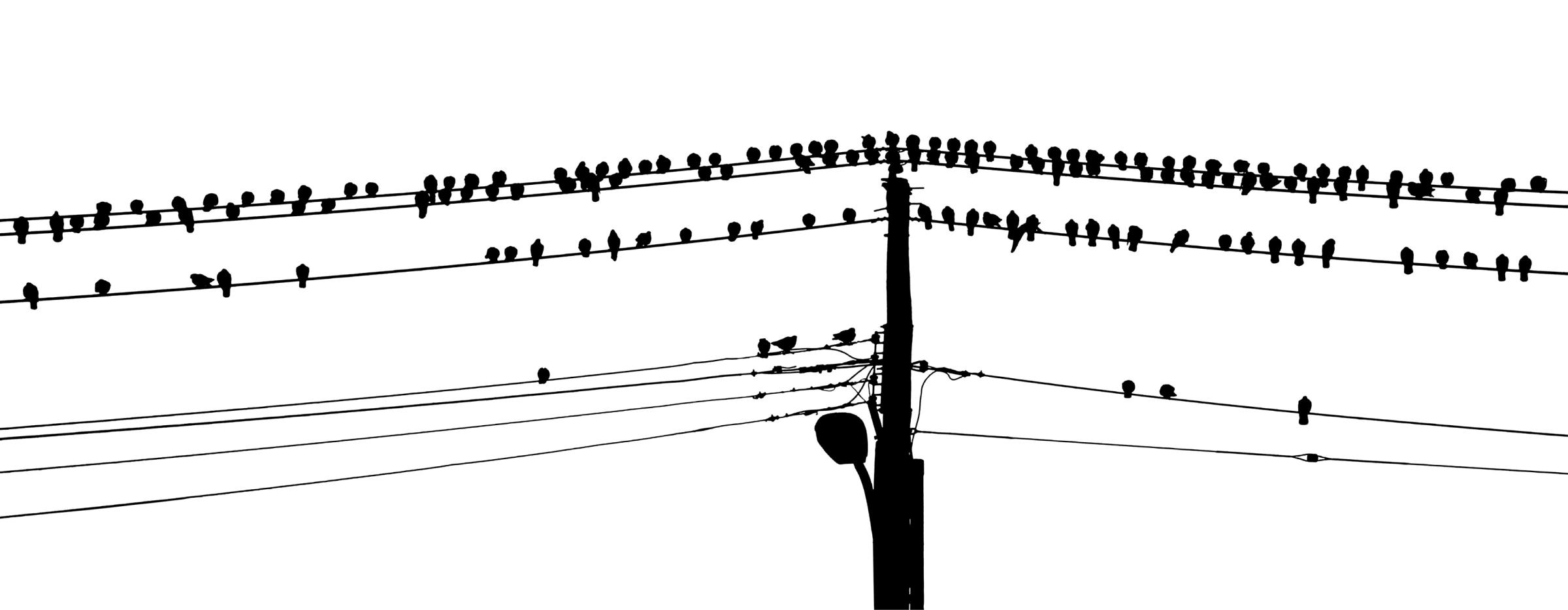 WIRED