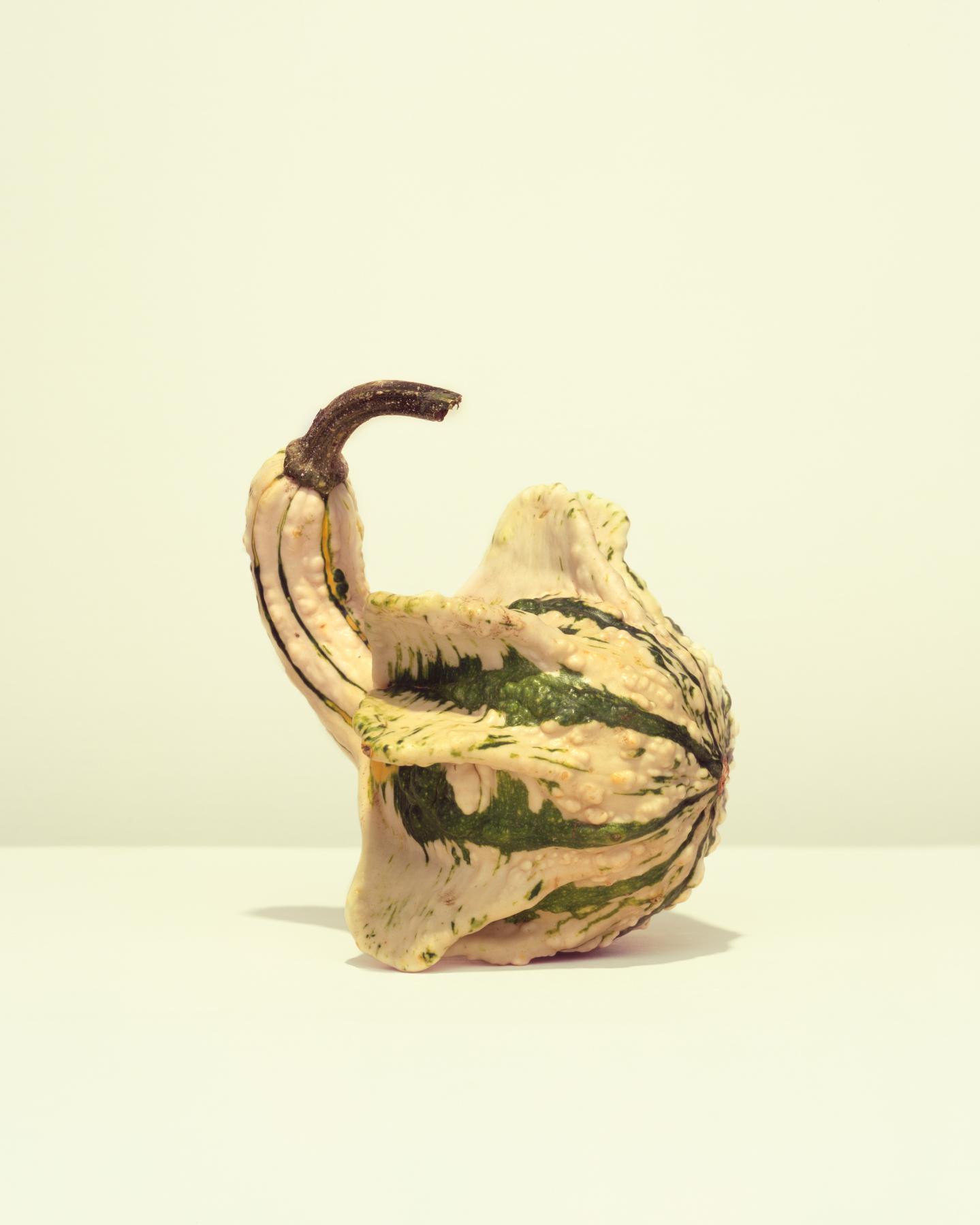 Image from GOURDS -   