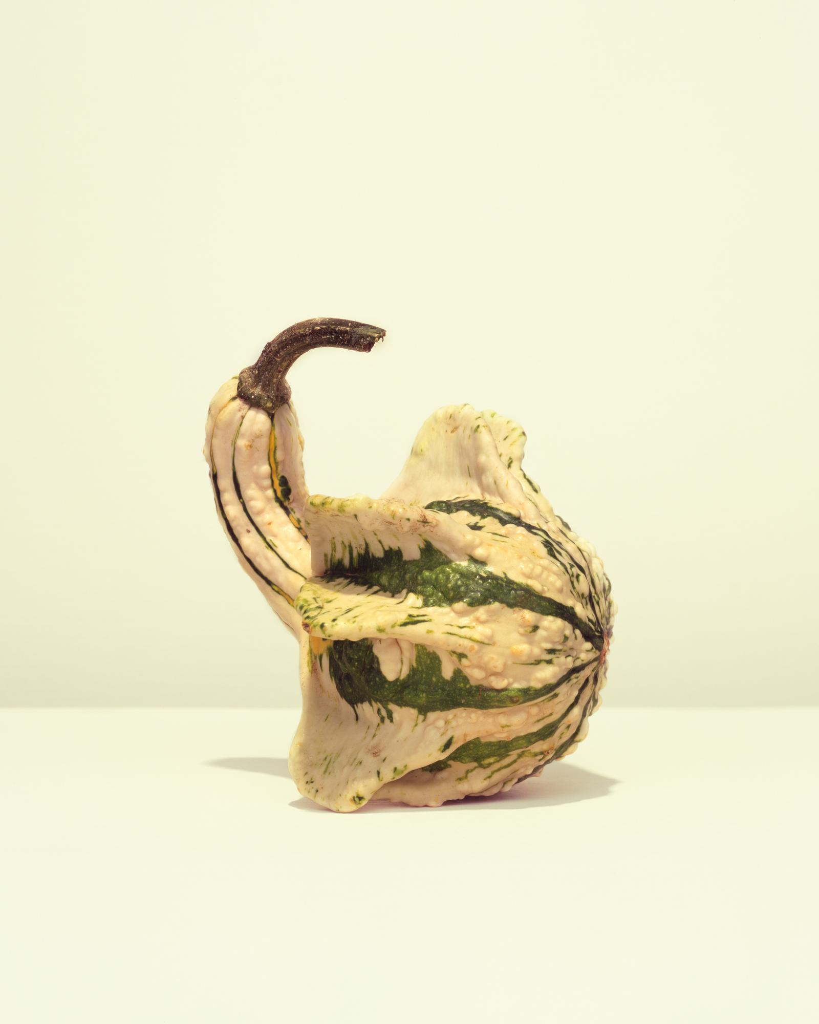 GOURDS
