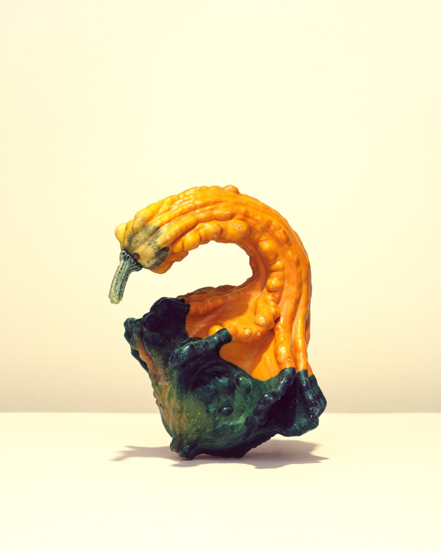 Image from GOURDS -   