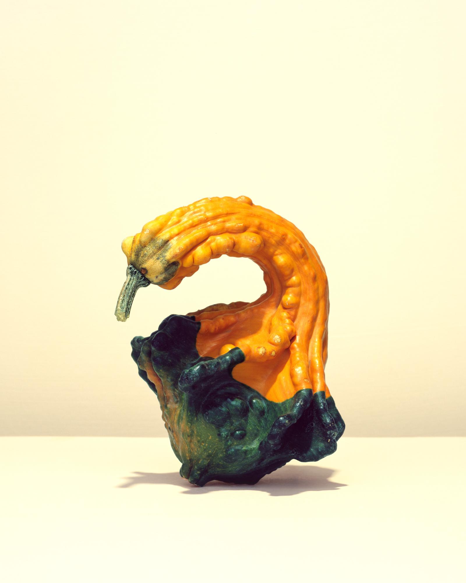 GOURDS