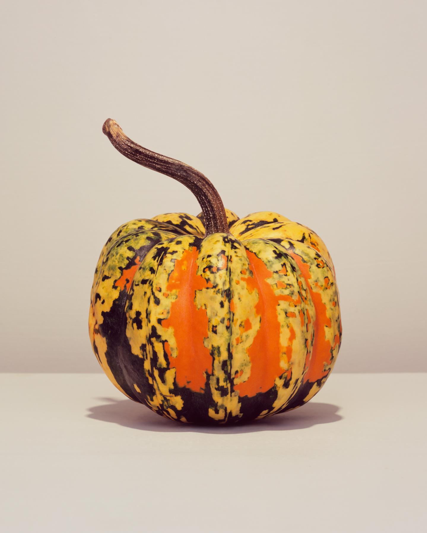 Image from GOURDS -   