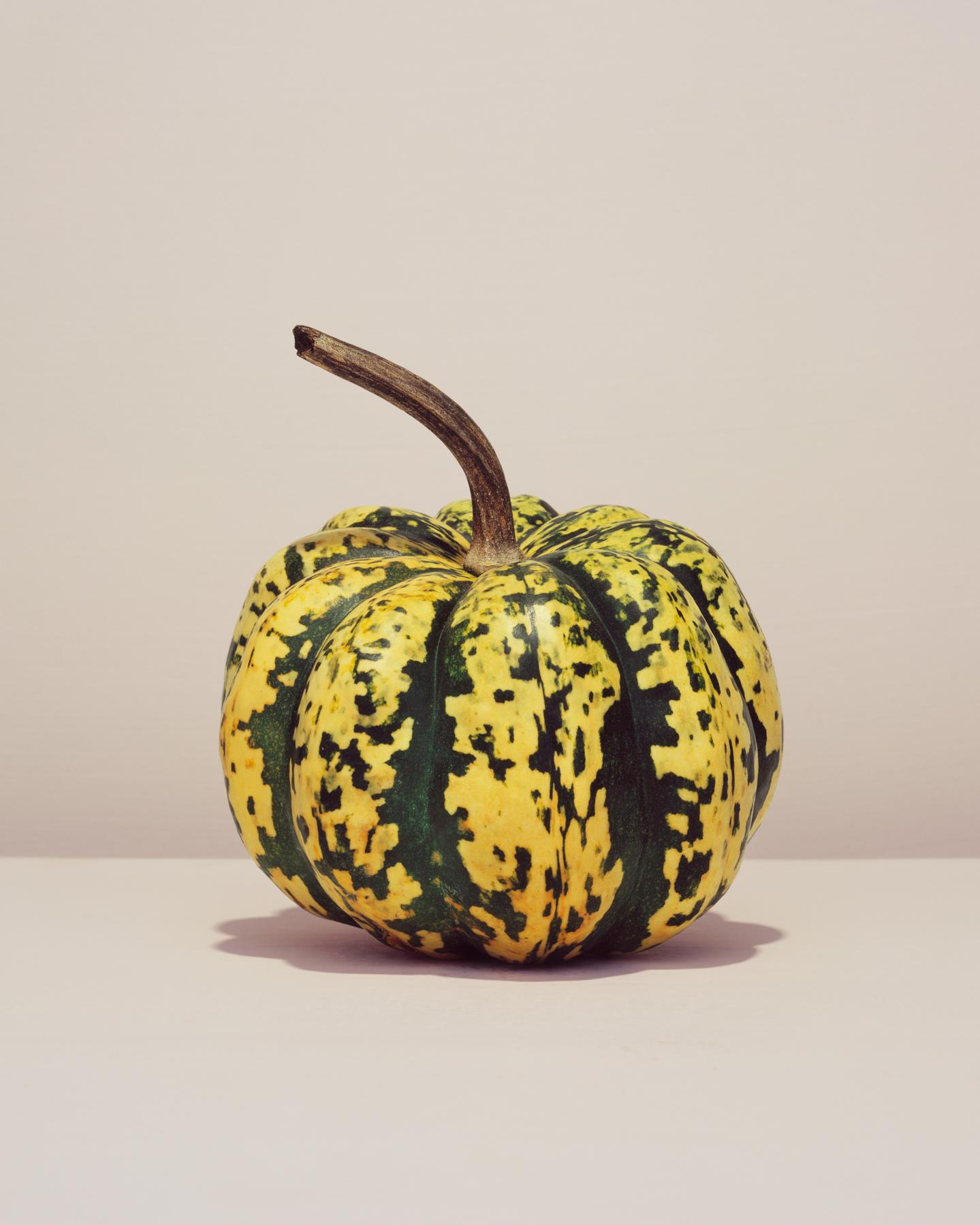 Image from GOURDS -   