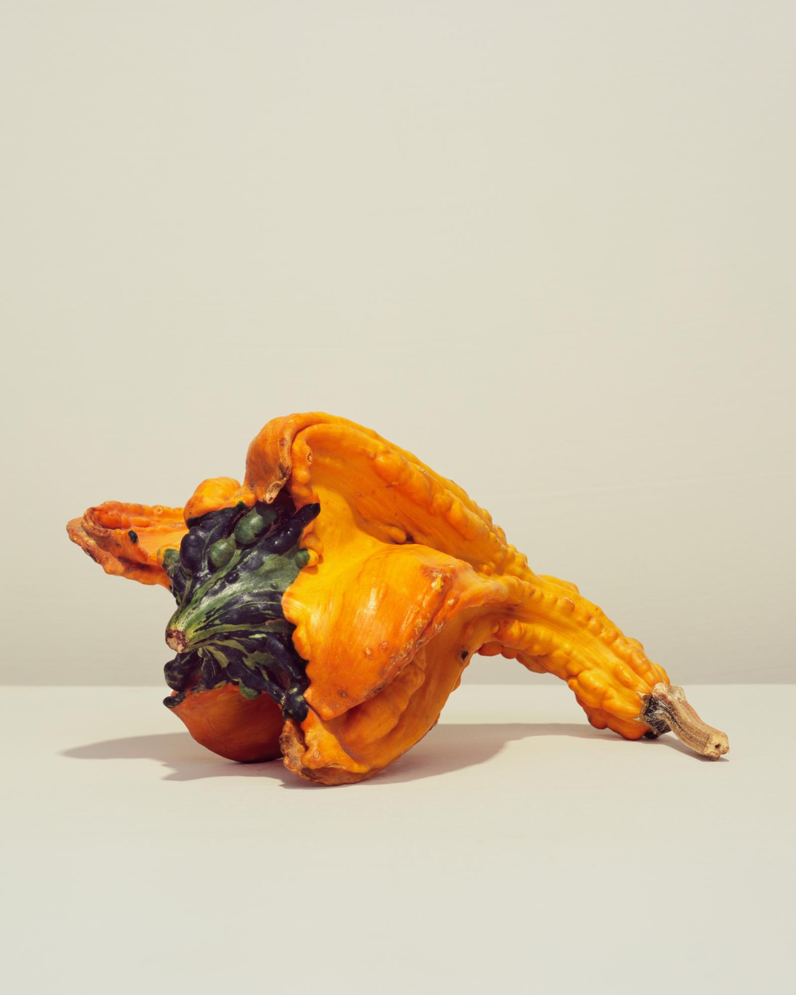 GOURDS