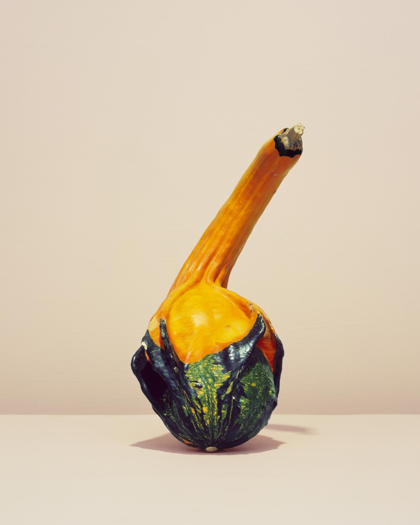 Image from GOURDS -   
