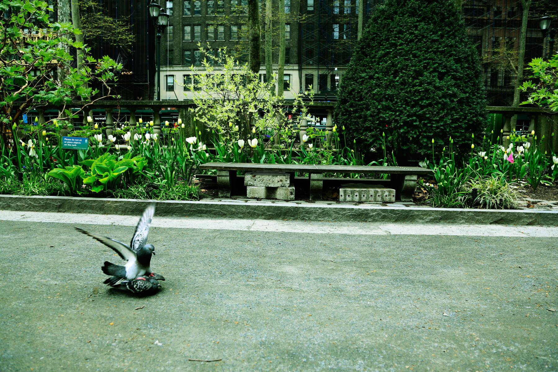 Image from LOCK DOWN -   