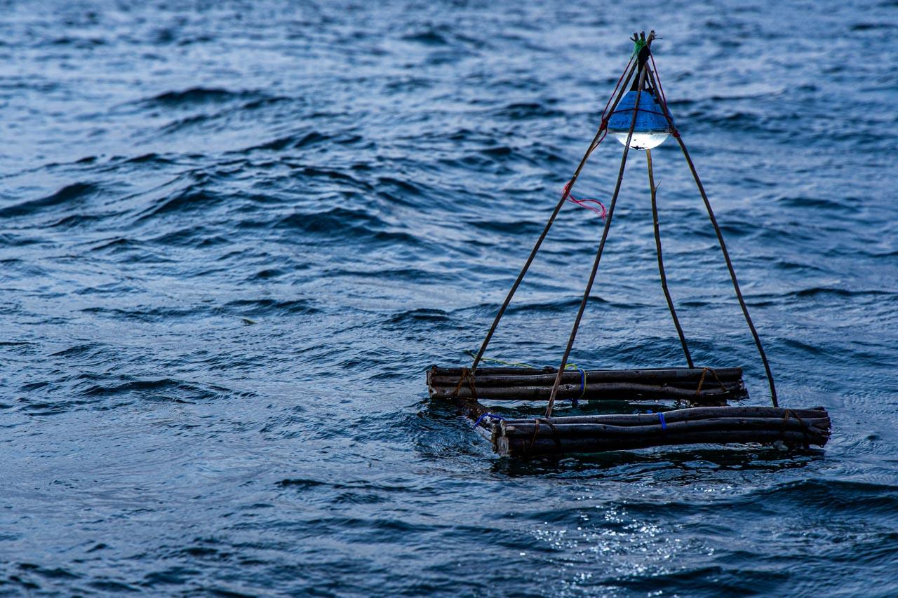 The floating solar-powered lamp in position to attract the silver fisher. The lamps are placed just after sunset to provide light that attracts the silver fish to the surface. Later, the fishermen spread their nets below the light to catch the fish.