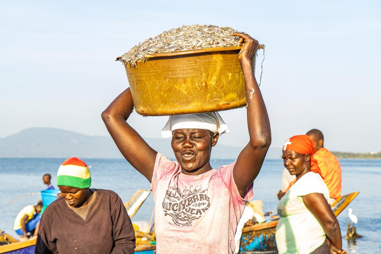 Anthony Ochieng Onyangoi I Powering the 'Ghost Town' of Rusinga Island - Nyakandito, a fishmonger from the island, carries the wet...