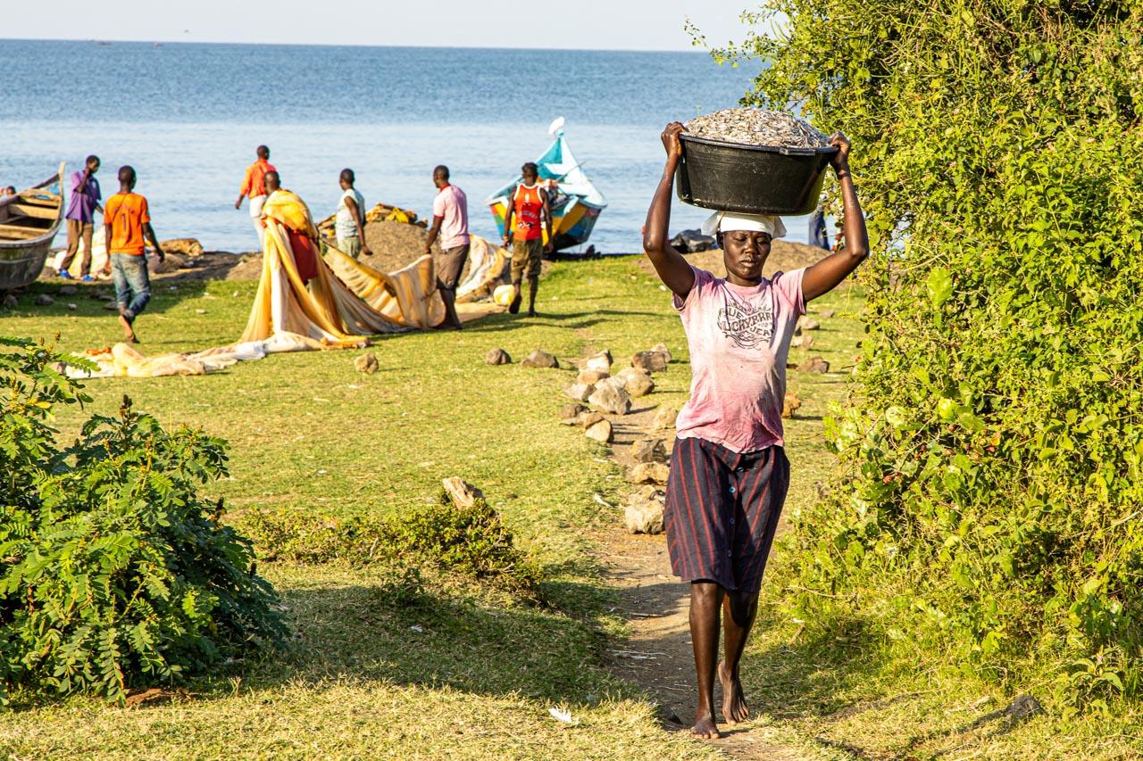 Anthony Ochieng Onyangoi I Powering the 'Ghost Town' of Rusinga Island - It is the end of one night of fishing, and the fishermen...