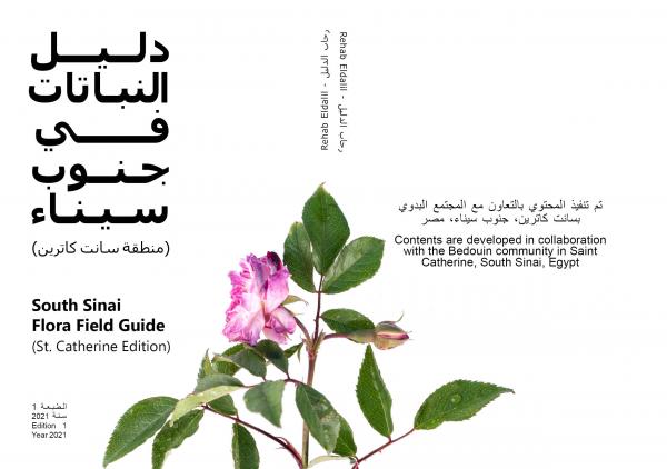Sinai Flora Field Guide