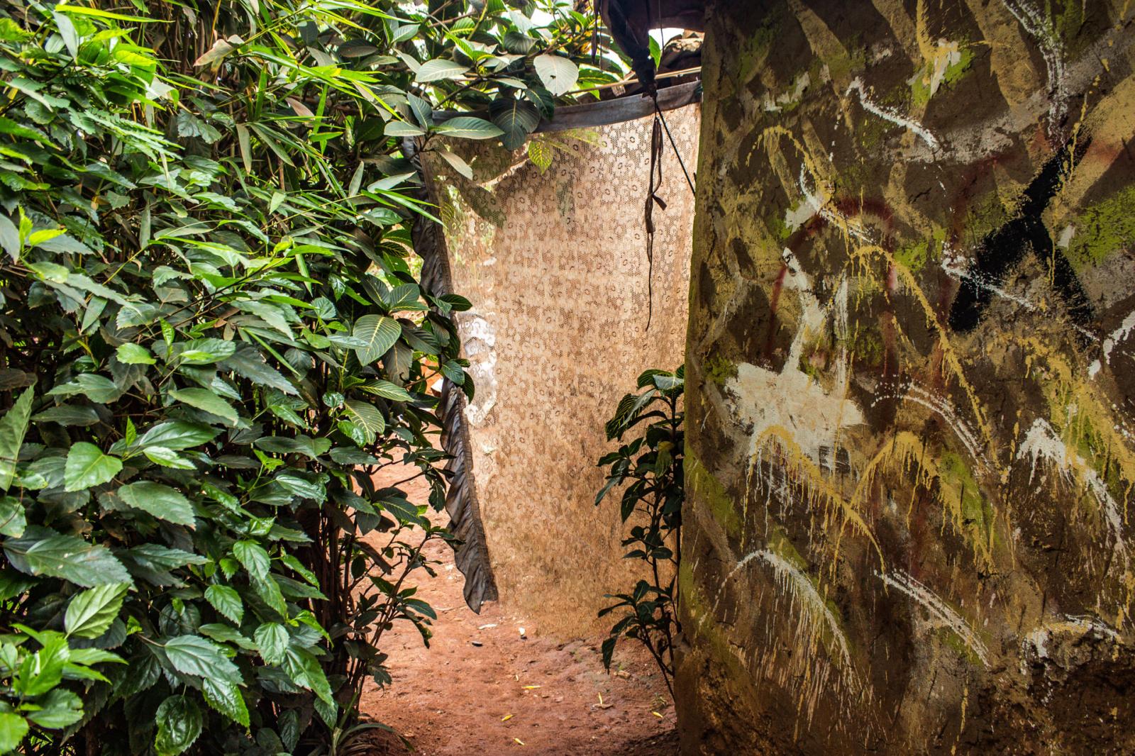  The walkway that takes you to the back section of the house is bordered by plants that Wasswa Denis uses to create a kind of fence around his home in order to establish a form of privacy and prevent strangers from passing through all the time. 