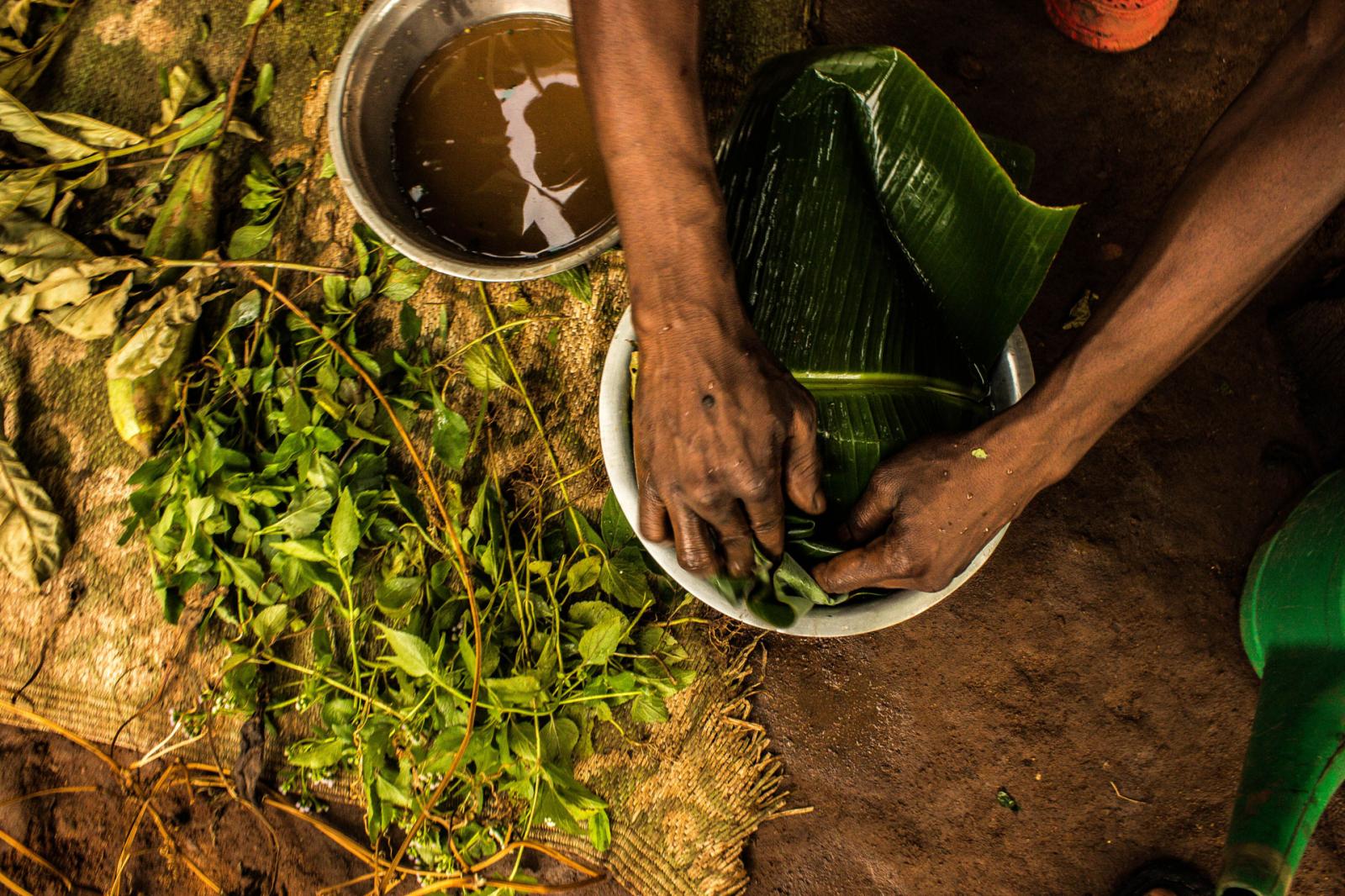 Joshua Victor Semaganda | The Herbalist -  Wasswa Denis uses a banana leaf to wrap the selected...