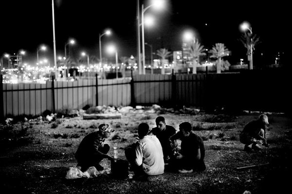 Image from The Land - A group of Palestinians teenagers, who stay and work...