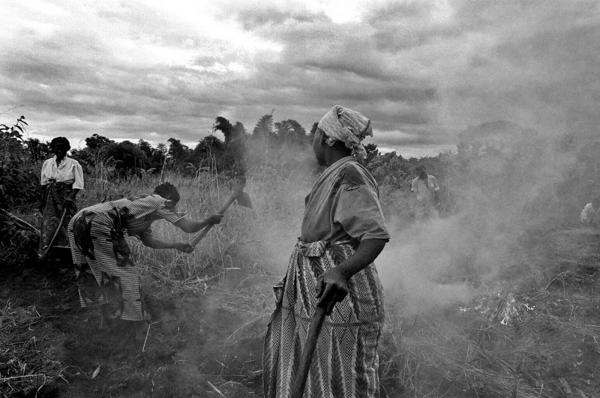 HIV/AIDS - East Africa - a group of old women working in the fieldsnamitete,...