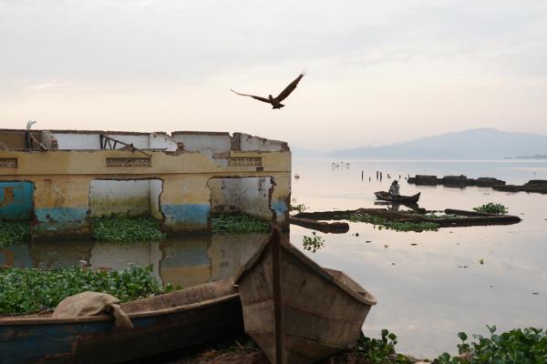 Image from 2021 ENVIRONMENT CATEGORY WINNERS  -  Edgar Kanyike  2nd Place, Environment  Nalubaale Takes...