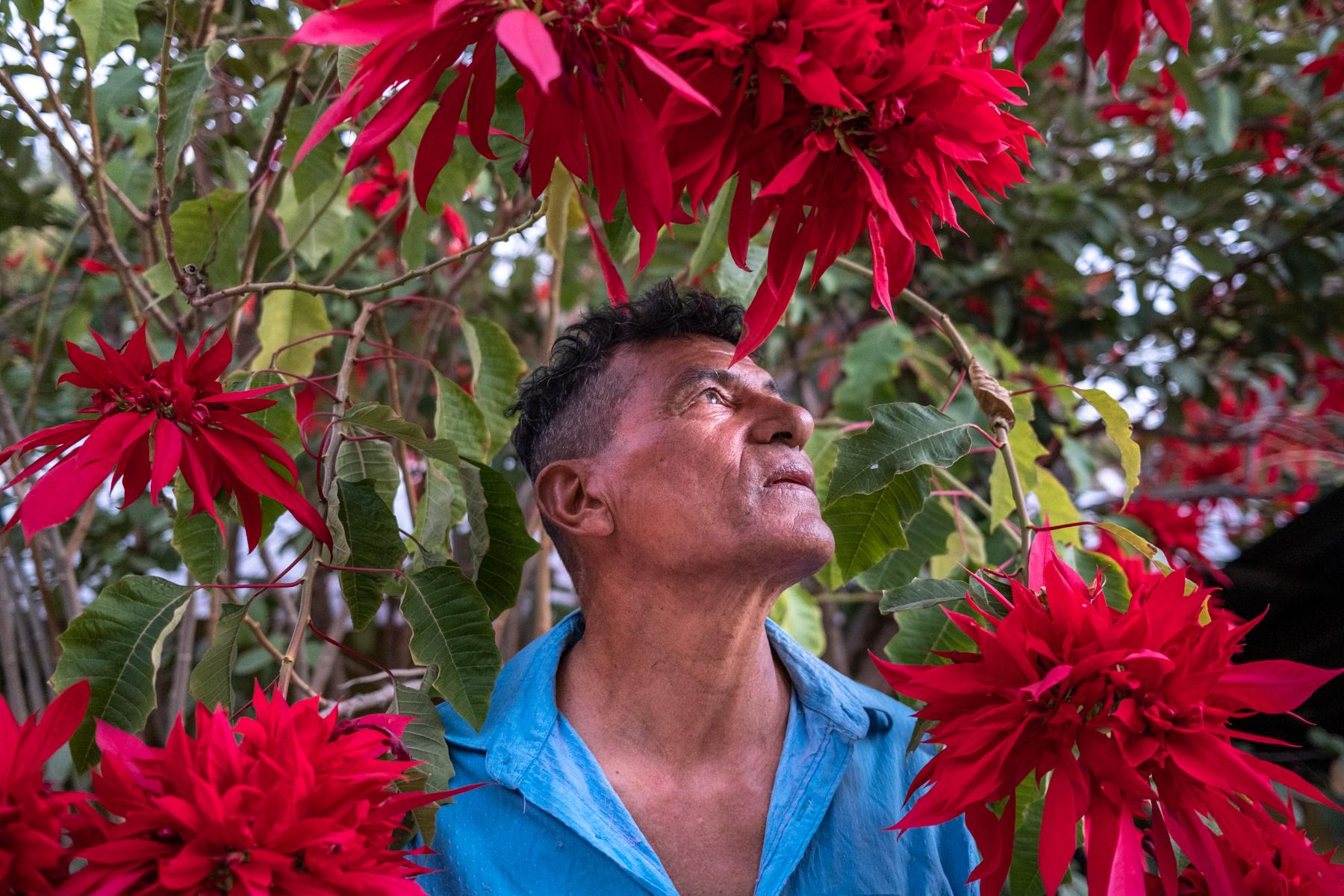 A portrait of Miguel, in the land where he was born and still lives, San Jose de Gracia, Baja California, Mexico, January, 17th, 2021. From 2006 to today, the community has lost 60 members and has a population of 12 today.&nbsp;