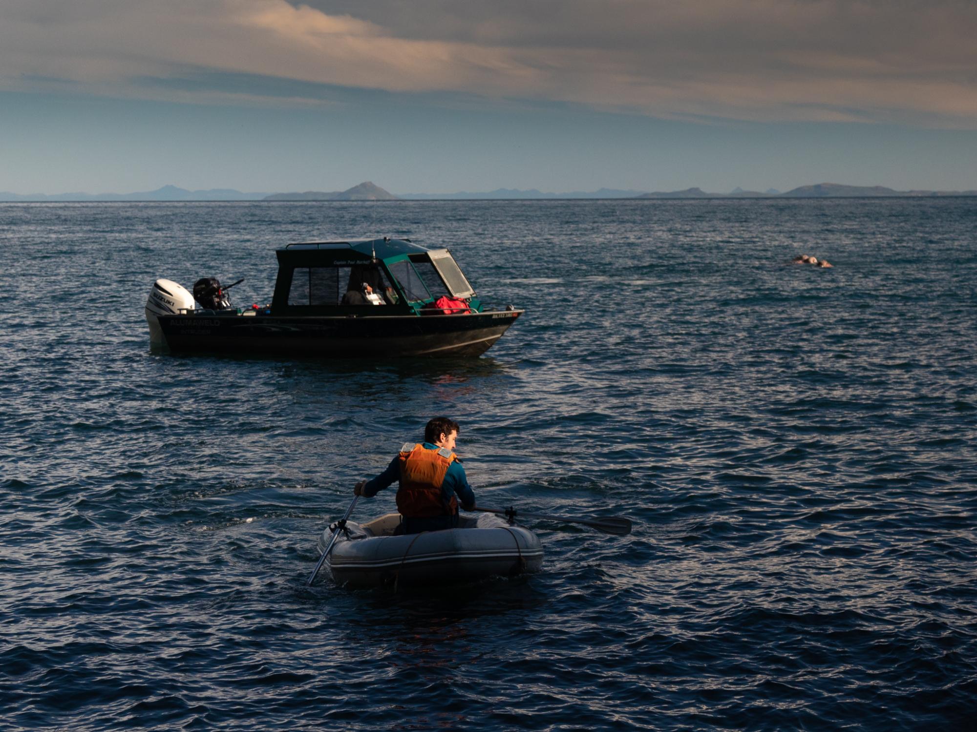Departing from Round Island, Devin Johnson (the writer/photographer&rsquo;s brother) rows to shore to shuttle more gear to Paul Markoff&rsquo;s boat. Because the boat itself cannot come all the way to shore, arrivals and departures from the island require exceptionally calm sea conditions.
