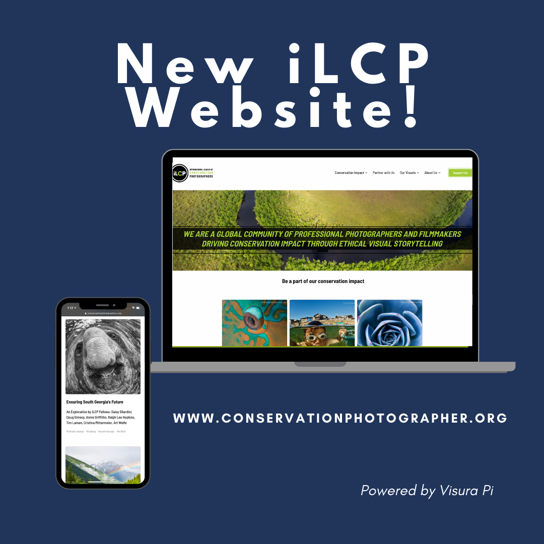 Thumbnail of iLCP announces a new website for greater  ﻿conservation impact!