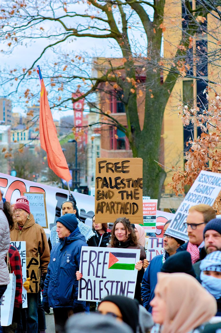 Wisconsin All Out For Palestine March And Rally - New Normal Photography