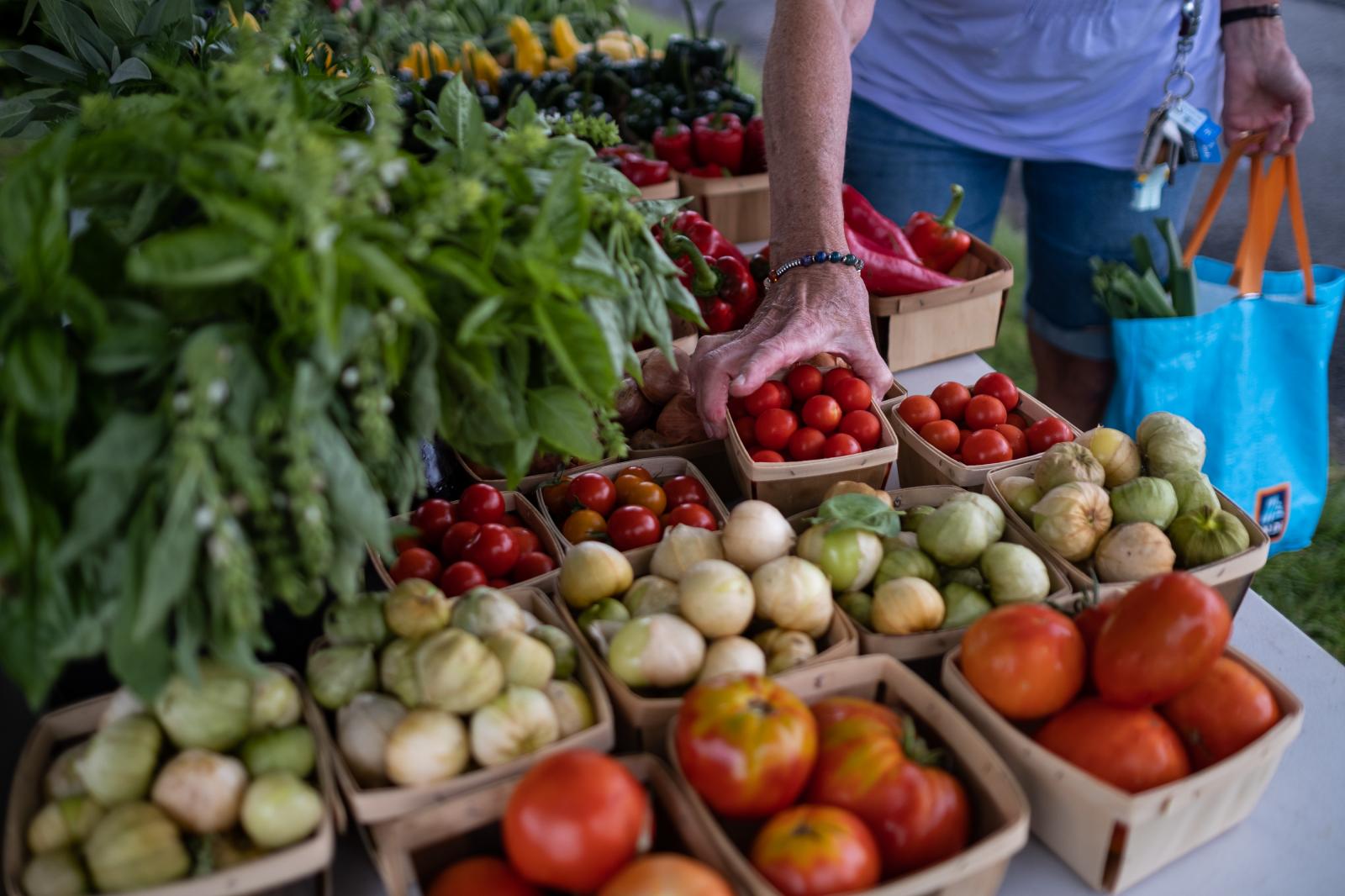 Image from Brady Family Farm - A farm stand visitor picks tomatoes to purchase.