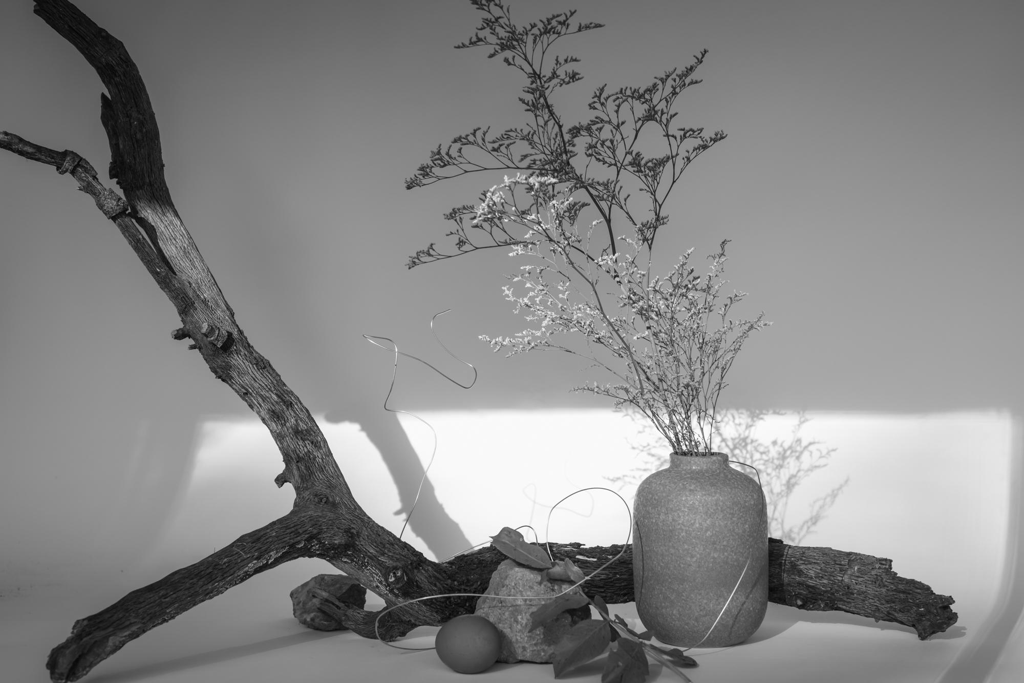 STILL LIFE + NUDES