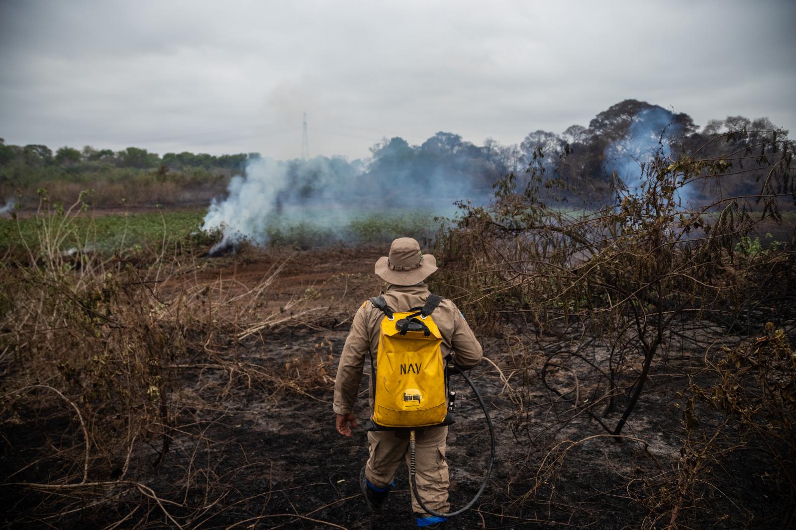 Fires burn in the Pantanal regi...a Magdalena Arrellaga/Bloomberg