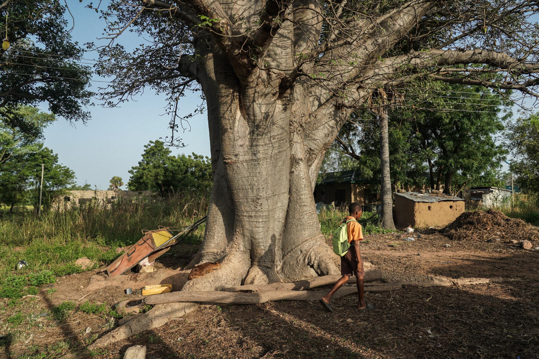 Tales Under the Baobab Tree - Timothy Nsobila (13) walks to school in Gowrie, Upper...