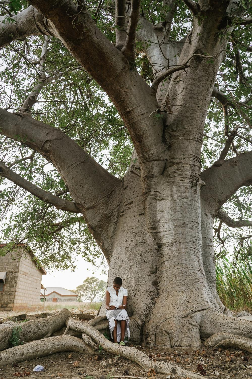 &ldquo;Knowledge is like a Baobab tree, one person&rsquo;s arms cannot encompass it&rdquo; GHANIAN PROVERB.&nbsp; Francisca Akanko(14), student of Azenab Girls Primary School, reads a book under a baobab tree outside her house in Wiaga, Upper East Region of Ghana, October 27, 2021
