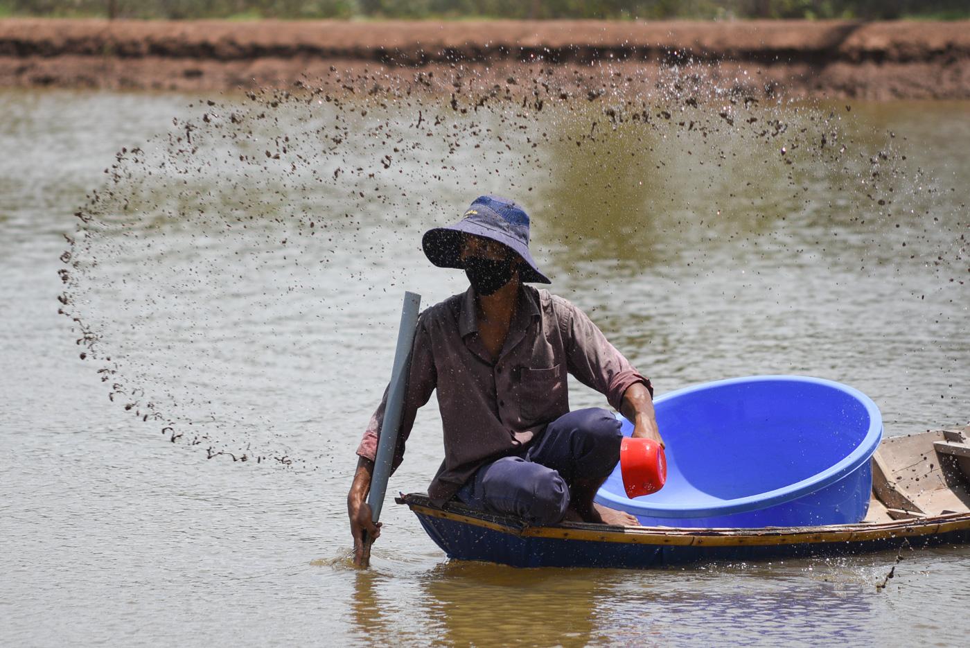 Climate Change Vietnamese Rice Farmers Switch To Shrimp Thanh Hue
