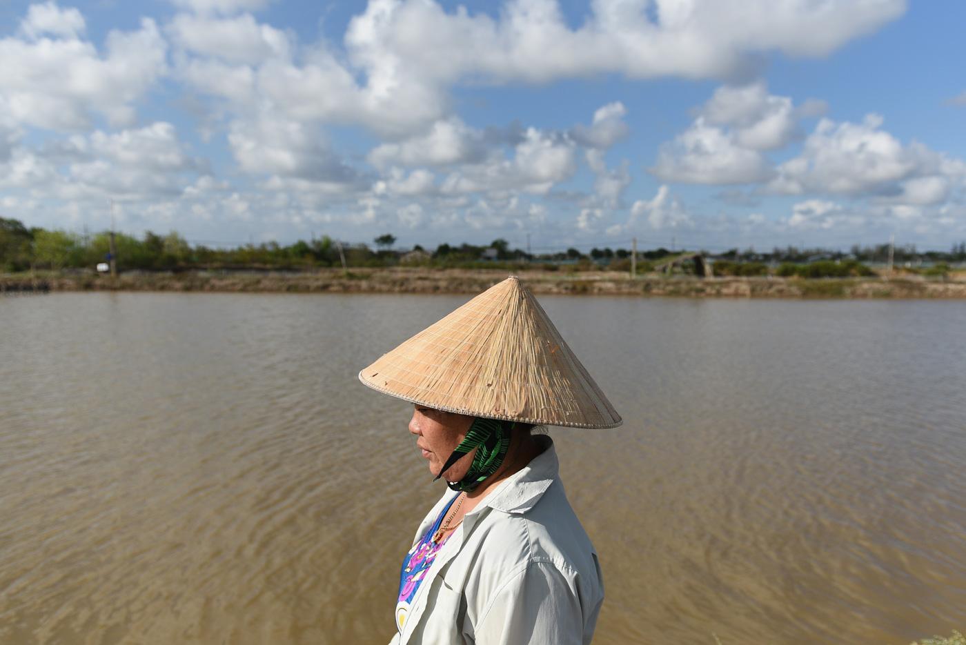 Climate change: Vietnamese rice farmers switch to shrimp