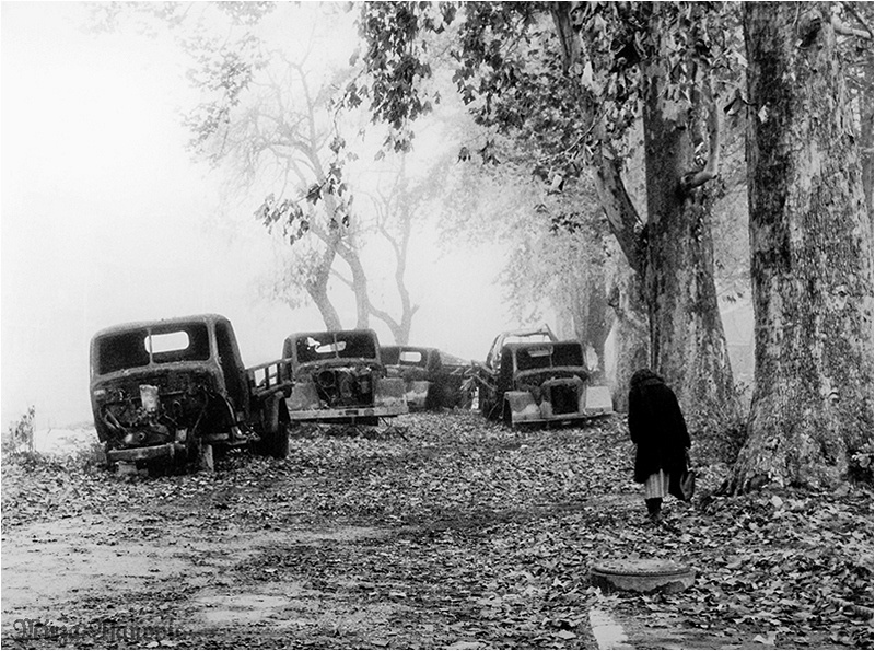 Silent Morning, Mirza Ajanovic ...graphy, Limited edition prints,
