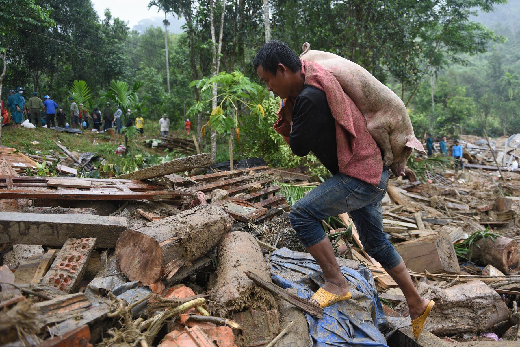 A month with full of sorrow - A man carries a pig saved from landslides in Nam Tra My...