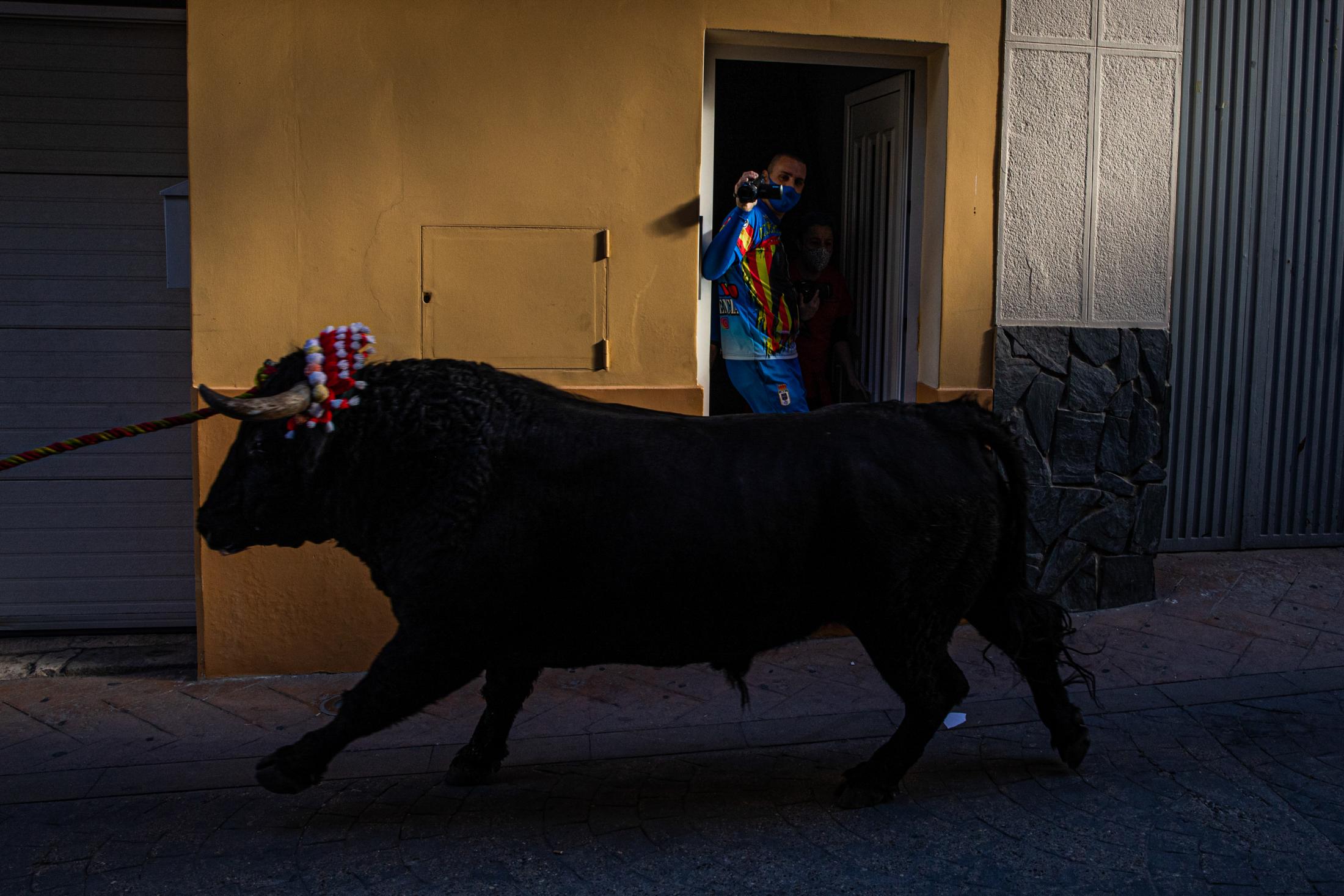 Spain, the bull and the mask - Torico de cuerda en Godelleta. 14/11/2021