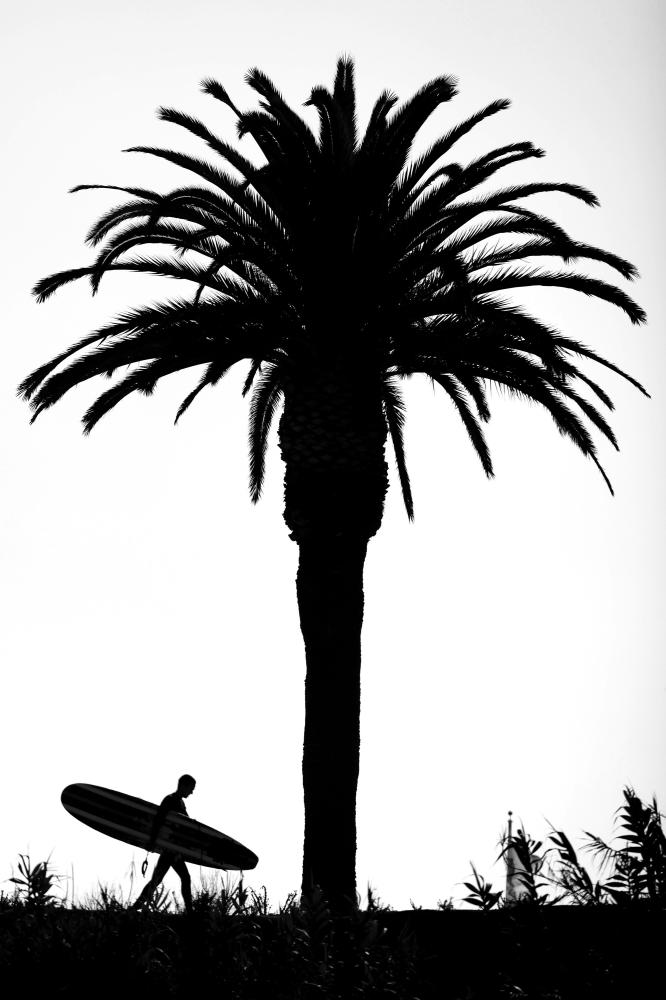 SoCal Surfing