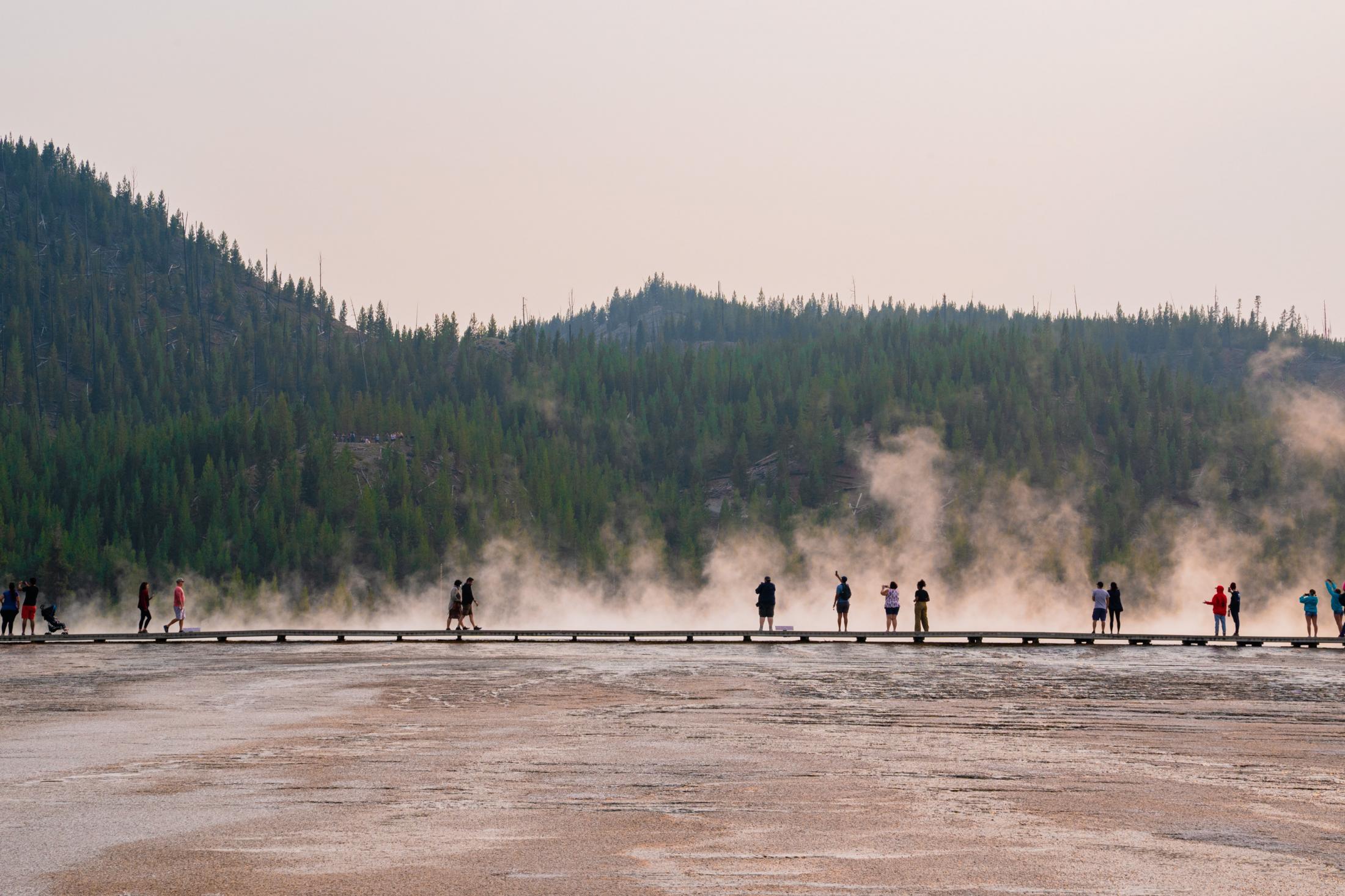 Bison, elk and social distance: A photographer’s view from Yellowstone during delta - The board trails of the Grand Prismatic Spring through...