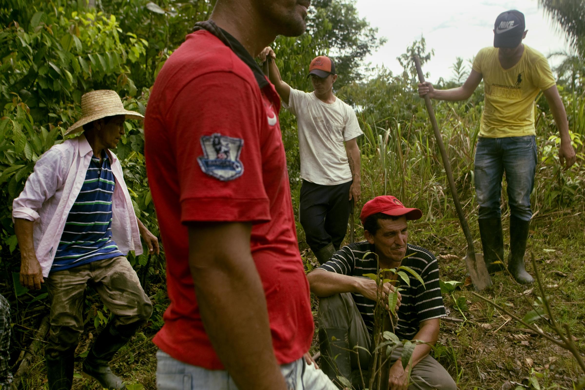 The War on Drugs in Colombia - La Montañita, Caquetá, Colombia. A group of...