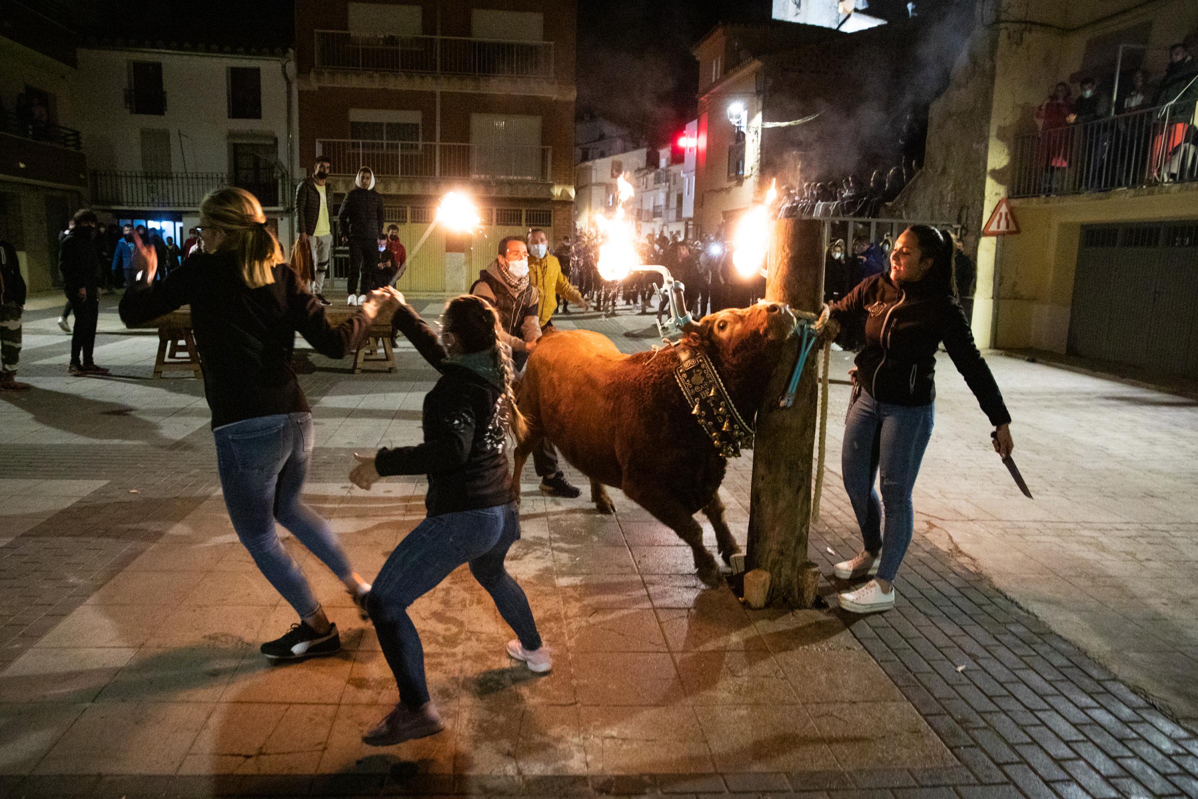 Spain's Dwindling Bullfighting Traditions - VALENCIA, SPAIN - DECEMBER 04: In this traditional...