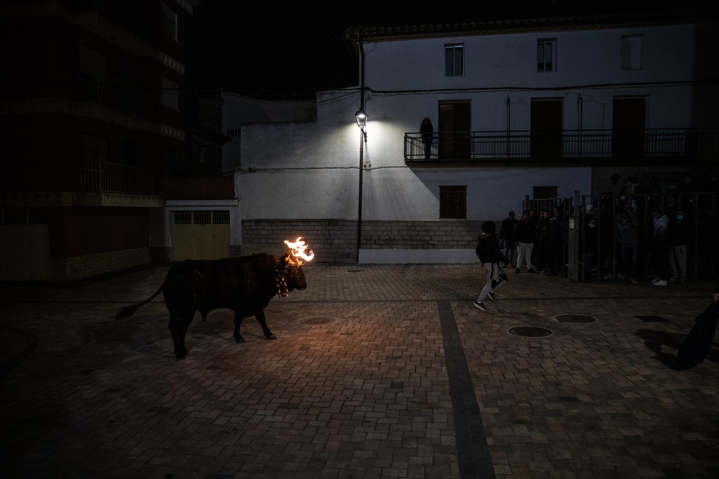 Spain's Dwindling Bullfighting Traditions - VALENCIA, SPAIN - DECEMBER 04: Young people have fun with...