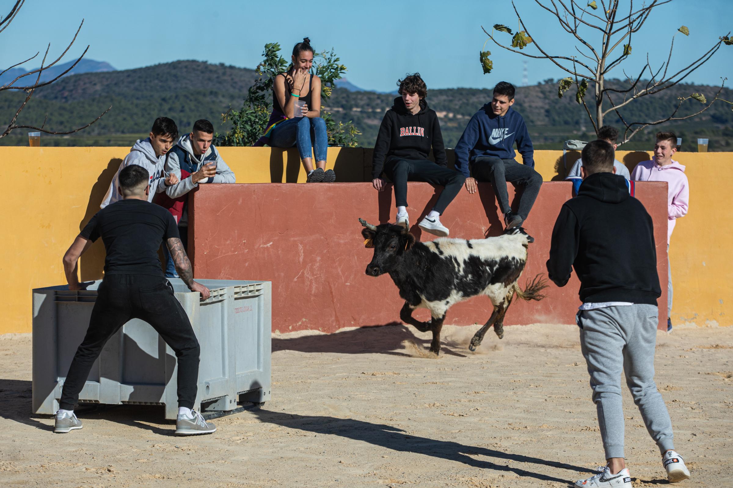 Spain's Dwindling Bullfighting Traditions - VALENCIA, SPAIN - DECEMBER 04: Private bullfights are...