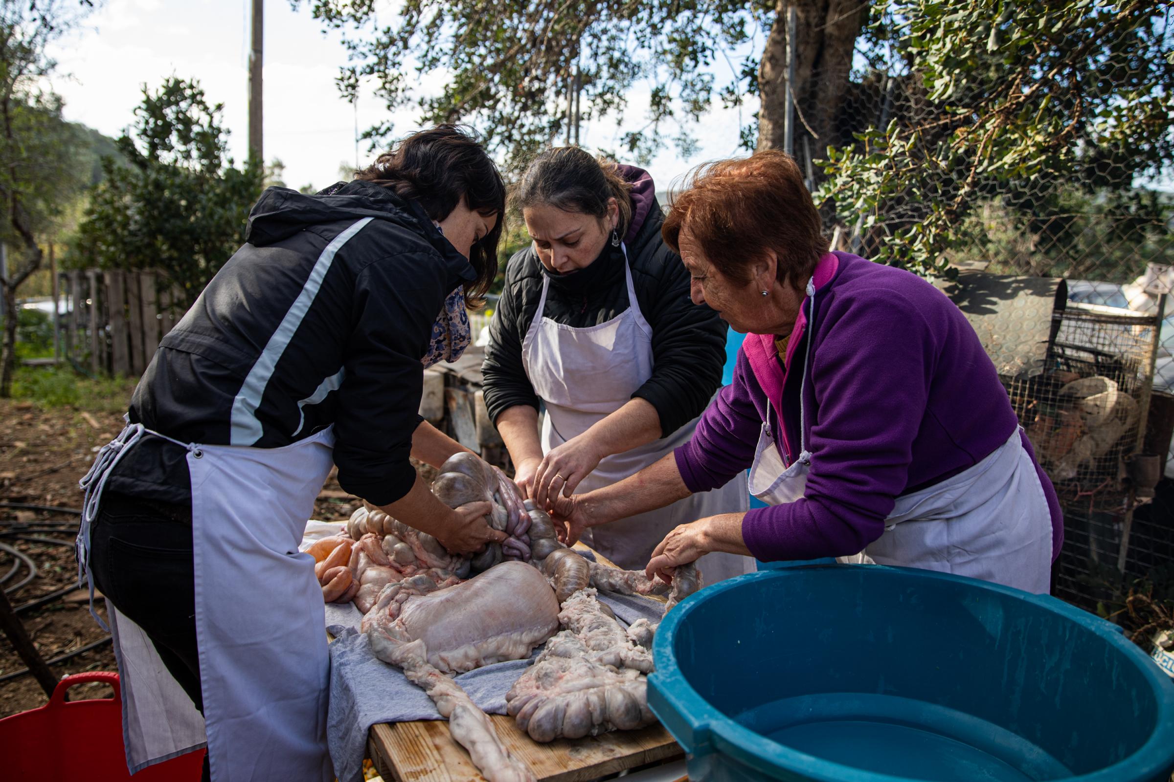 Spain's Sustainable Swine Slaughtering For Prized Iberian  - IBIZA, SPAIN - DECEMBER 06: Women remove the intestines...