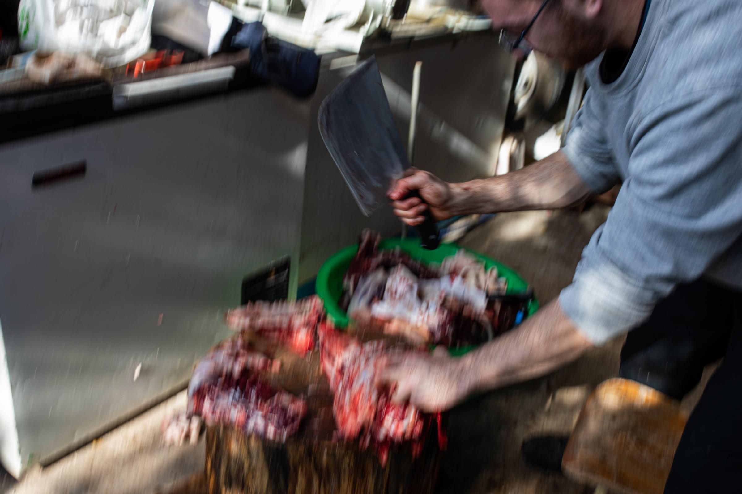 Spain's Sustainable Swine Slaughtering For Prized Iberian  - IBIZA, SPAIN - DECEMBER 06: A man cuts the pig's meat on...