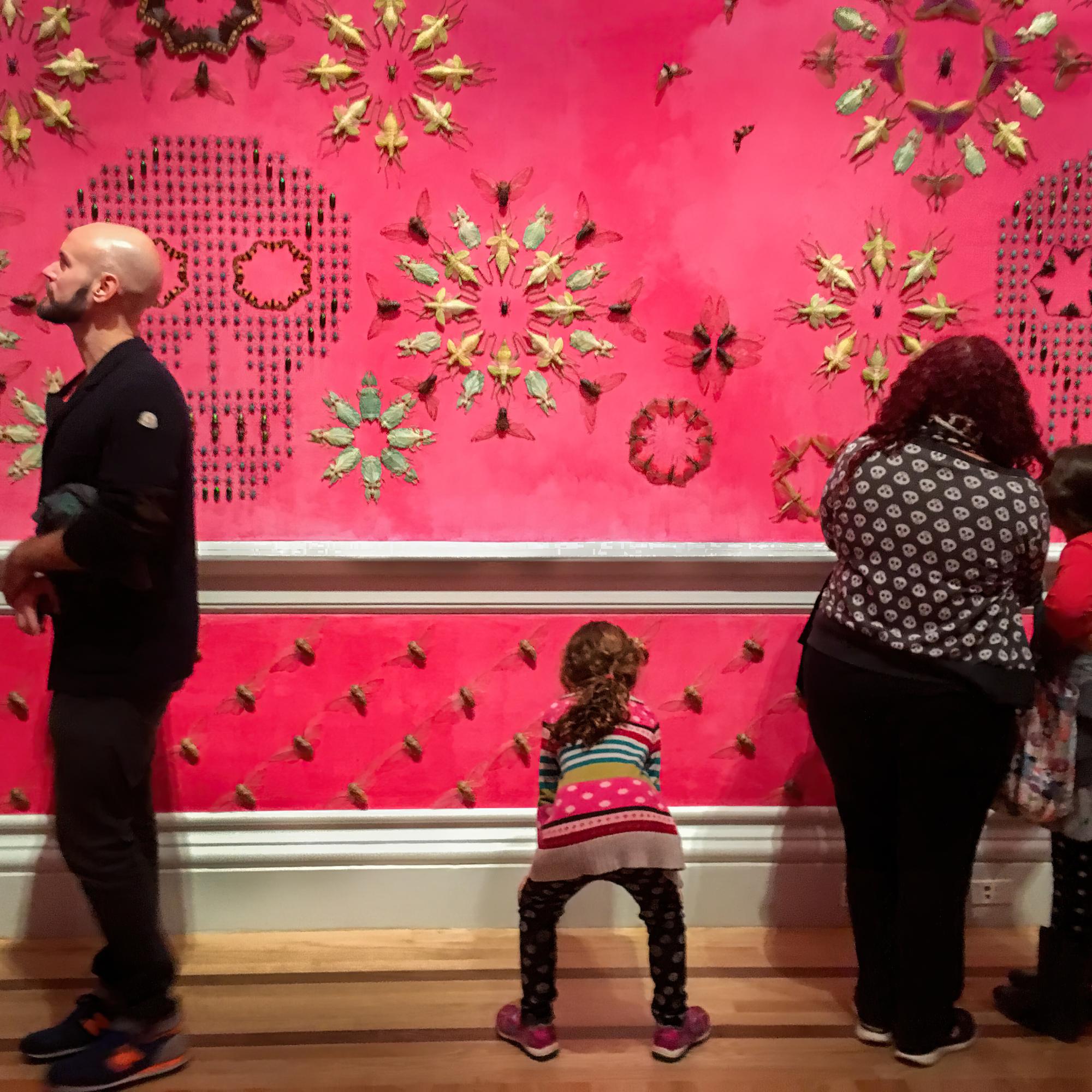 Viewing Art - A young visitor seems to merge into Jennifer Angus's...
