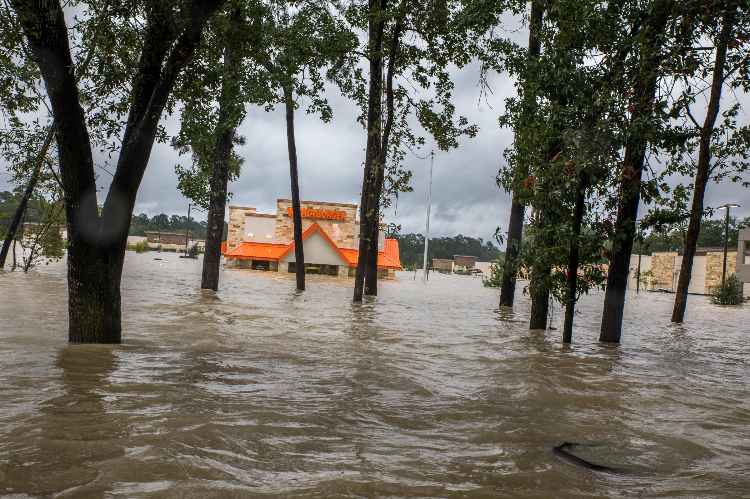 Hurricane Harvey - Flood waters from the San Jacinto river submerge cars and...